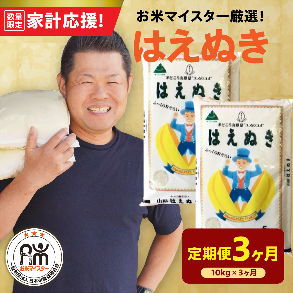 【 3ヶ月定期便 / 令和7年産 】 はえぬき 計10kg/月 ( 1回配送 5kg×2袋 ) 2025年産