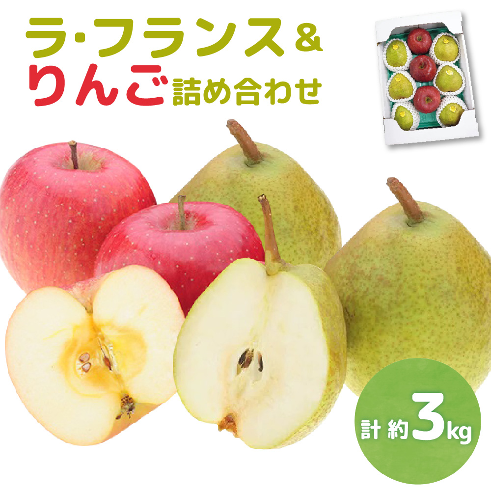 【先行予約】 令和8年産 ラ・フランス & りんご 詰め合わせ 計 約3kg ラ・フランス 6玉 りんご 3玉 2026年11月上旬～12月上旬 お届け予定 山形県 米沢市