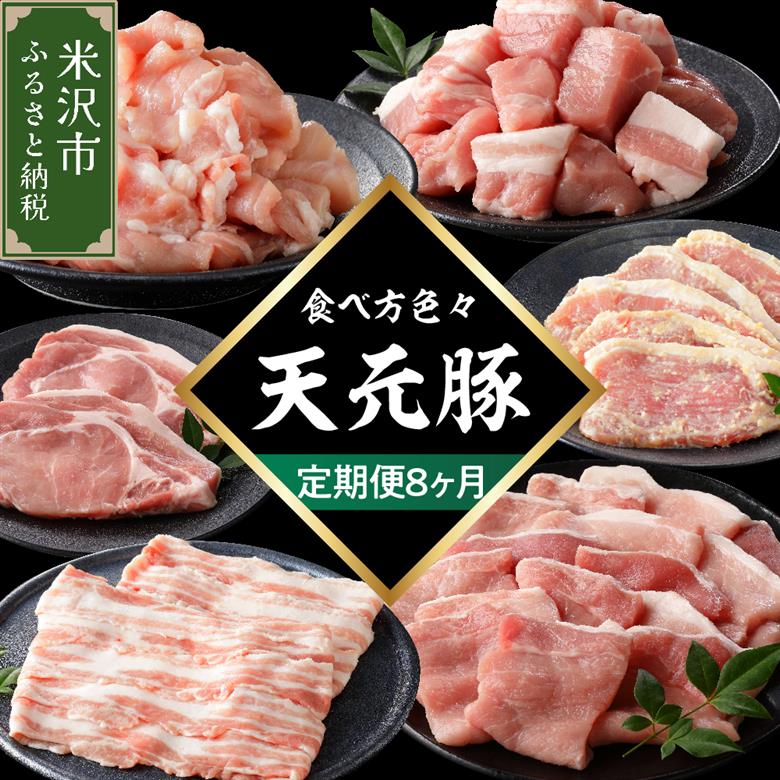 【定期便】 8ヶ月定期便 天元豚 セット 全8回 豚肉 ロース バラ 小間 モモ 挽き肉