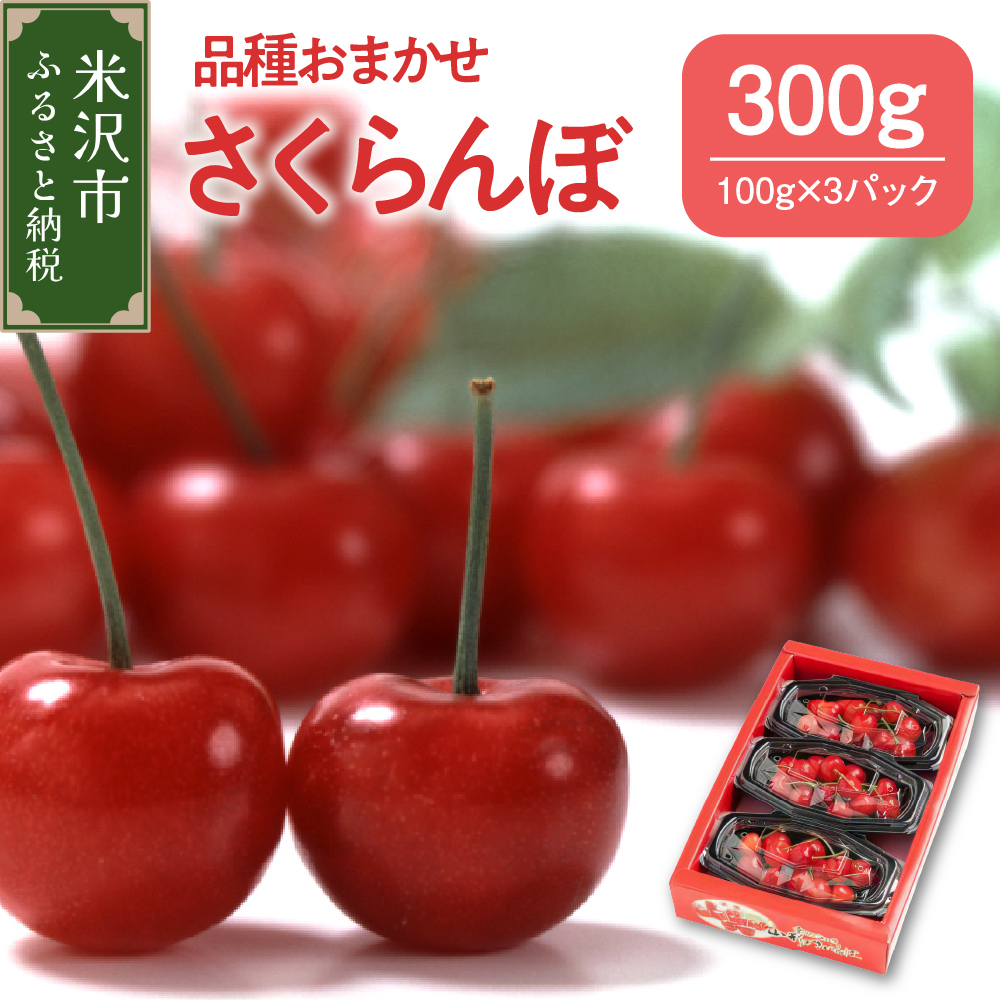 【先行予約】 令和8年産 さくらんぼ 300g ( 100g × 3パック ) 品種おまかせ ( 佐藤錦 紅秀峰 紅てまり 大将錦 いずれか )