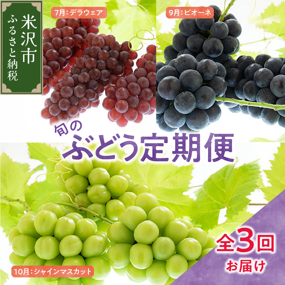 【先行予約】定期便 令和8年産 ぶどうの定期便 全3回 デラウェア ピオーネ シャインマスカット 2026年7月下旬頃～ お届け予定