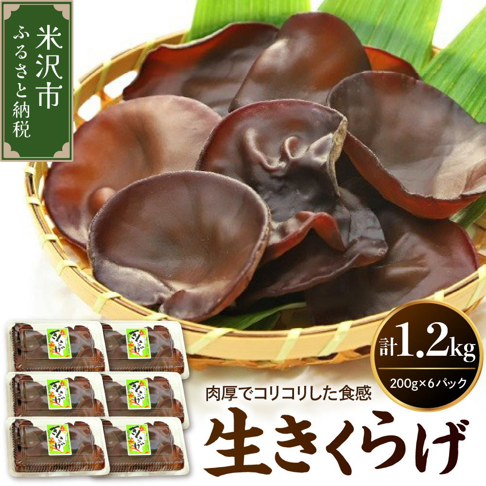 《先行予約》【 期間限定 】 生きくらげ 計 1.2kg （ 200g × 6パック ）〔 2026年 6月 ～ 10月 中旬頃お届け 〕 米沢産 無農薬栽培 きくらげ きのこ 冷蔵