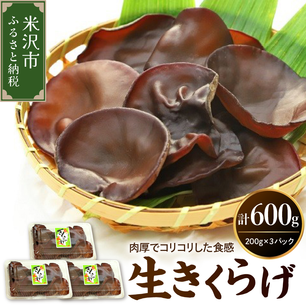 《先行予約》【 期間限定 】 生きくらげ 計 600g （ 200g × 3パック ）〔 2026年 6月 ～ 10月 中旬頃お届け 〕 米沢産 きくらげ きのこ 冷蔵