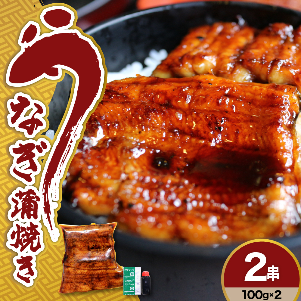 うなぎ の 蒲焼き 2串 ( 100g × 2本 ) 計 200g 創業170余年 老舗 みやさかや 真空パック 国産 冷蔵 鰻 うなぎの蒲焼き 惣菜