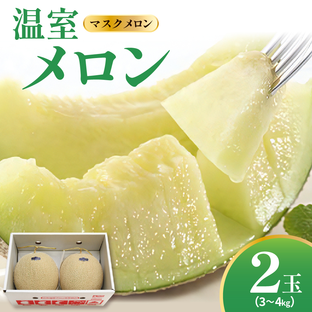 【先行予約】 令和8年産 温室 メロン マスクメロン 2玉 ( 3～4kg程度 ) 2026年9月上旬～中旬頃 お届け予定