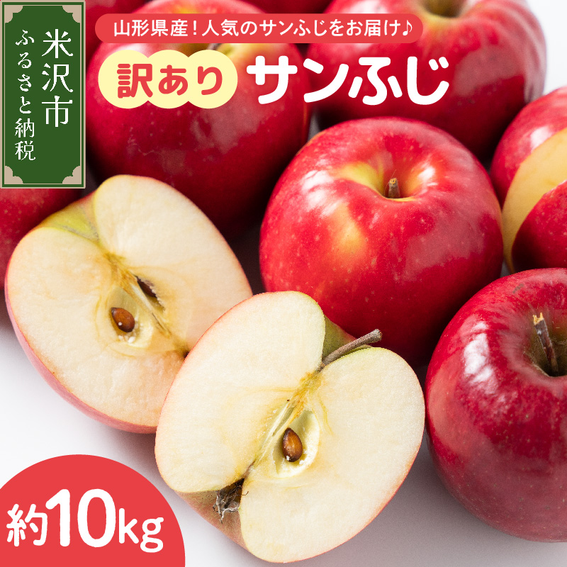 【先行予約】 令和8年産 訳あり りんご サンふじ 約10kg 玉数 お任せ ご家庭用 2026年11月中旬～12月上旬頃 お届け予定 山形県 米沢市