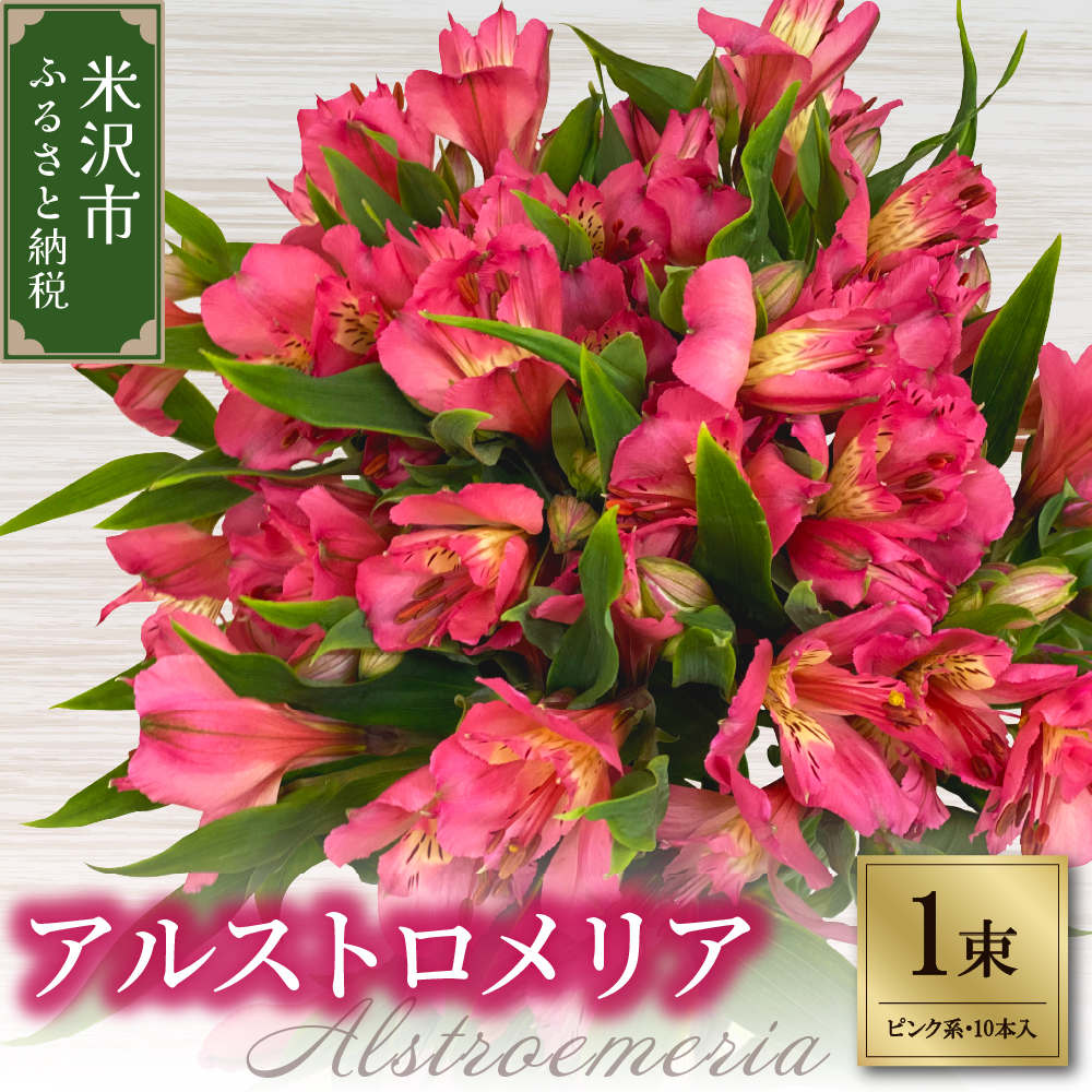 アルストロメリア ピンク系 1束 10本入り 花 生花 切花 2026年4月～7月上旬頃 お届け予定 山形県 米沢市