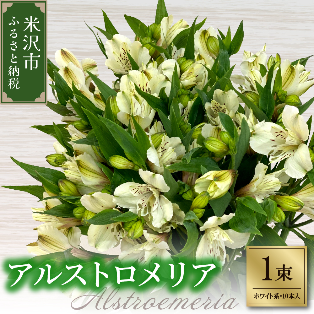 アルストロメリア ホワイト系 1束 10本入り 花 生花 切花 2026年4月～7月上旬頃 お届け予定 山形県 米沢市