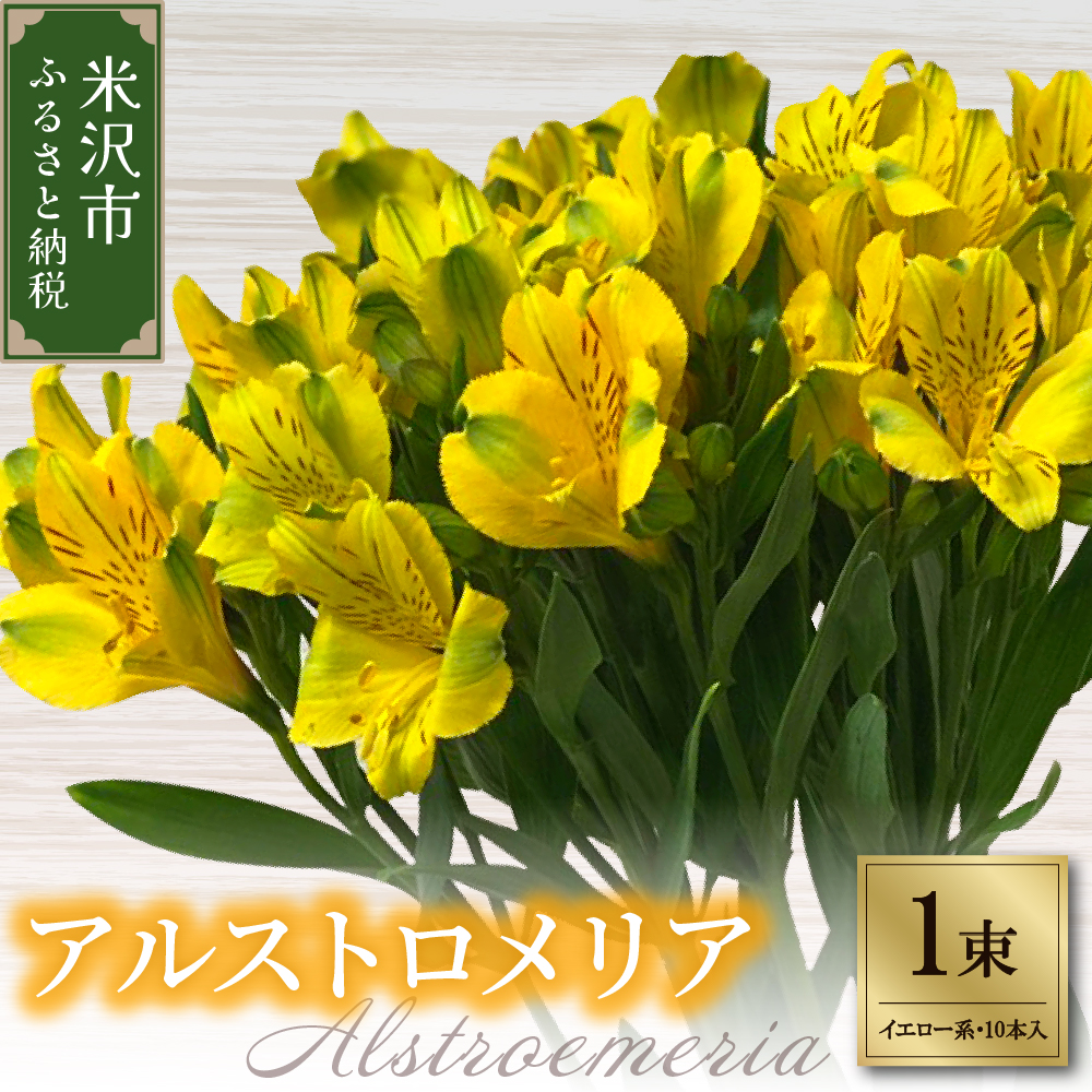 アルストロメリア イエロー系 1束 10本入り 花 生花 切花 2026年4月～7月上旬頃 お届け予定 山形県 米沢市