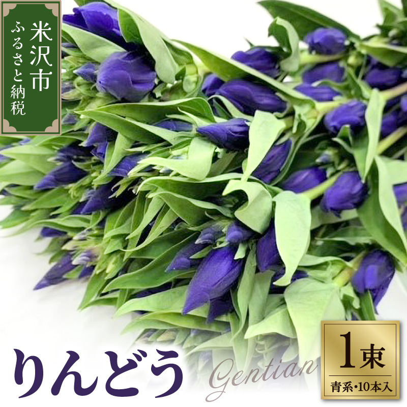 【先行予約】 りんどう 青系 1束 10本入り 花 生花 切花 2026年8月上旬～9月中旬 お届け予定 山形県 米沢市