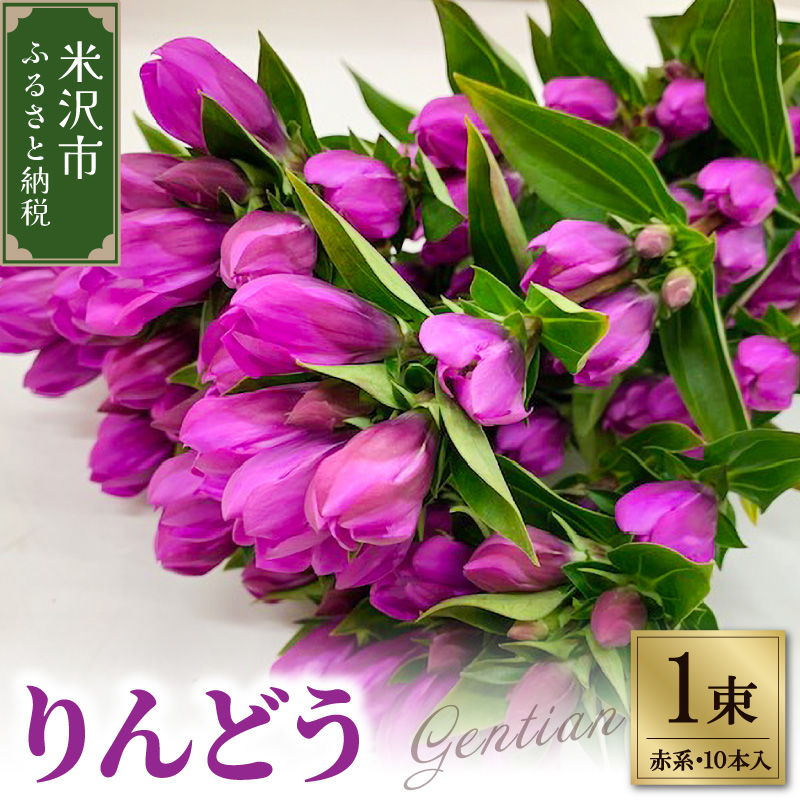 【先行予約】 りんどう 赤系 1束 10本入り 花 生花 切花 2026年8月上旬～9月中旬 お届け予定 山形県 米沢市