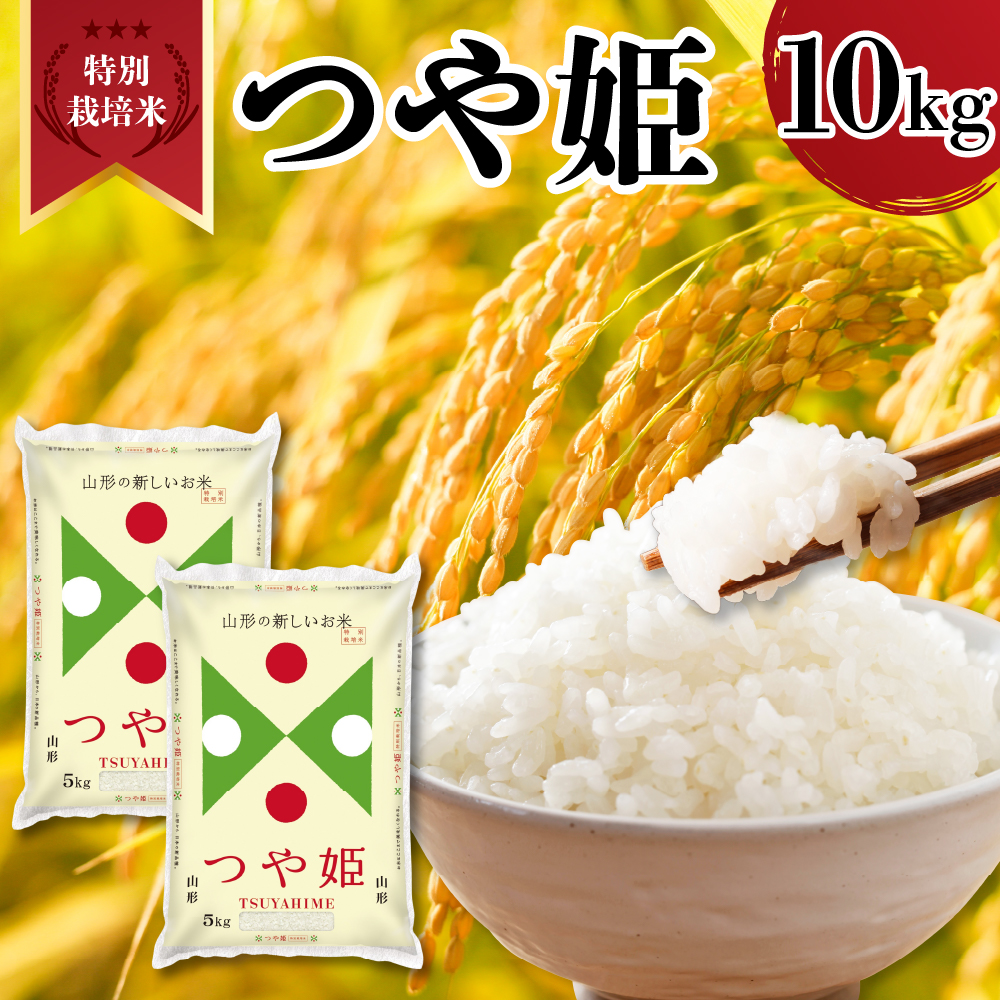 令和7年産 山形県産 特別栽培米 つや姫 10kg ( 5kg × 2袋 ) 精米 白米 2025年産 産地直送 山形県 米沢市