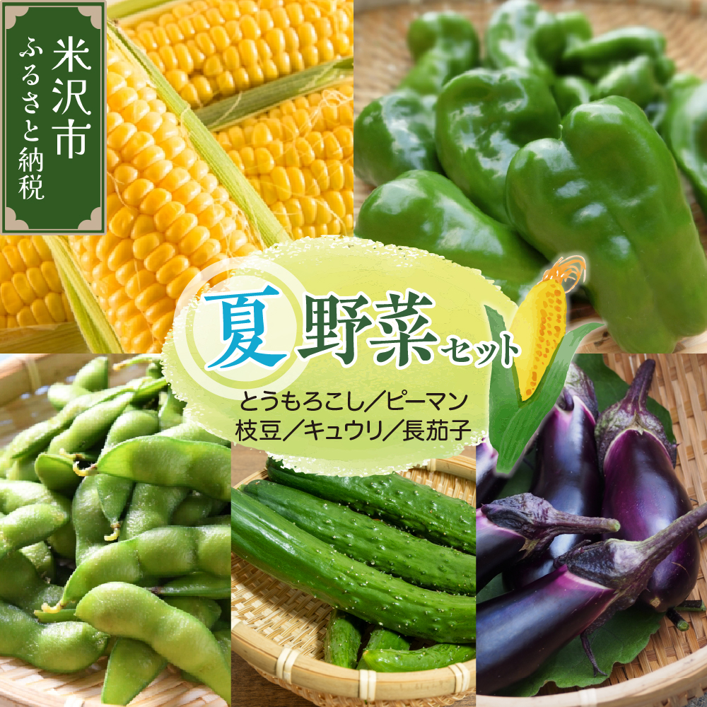【先行予約】 令和8年産 トウモロコシと夏野菜セット セブンティーントウモロコシ ピーマン 長茄子 キュウリ 枝豆 2026年8月上旬～下旬頃 お届け予定