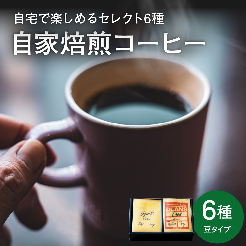 自宅で楽しめる セレクト 6種 自家焙煎 コーヒー 6袋 ( 1袋 30g ) 【豆タイプ】 自家焙煎珈琲 カフェグート