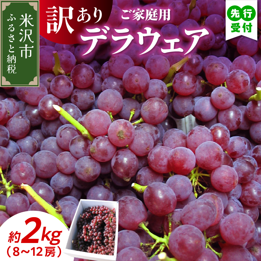 【先行予約】【数量限定】【令和8年産】家庭用 訳あり ぶどう デラウェア 2kg ( 8～12房 ) 2026年8月20日～9月20日頃お届け予定