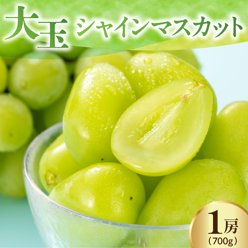 【先行予約】 【数量限定】 令和8年産 大玉 シャインマスカット 1房 700g 2026年9月上旬頃～お届け予定