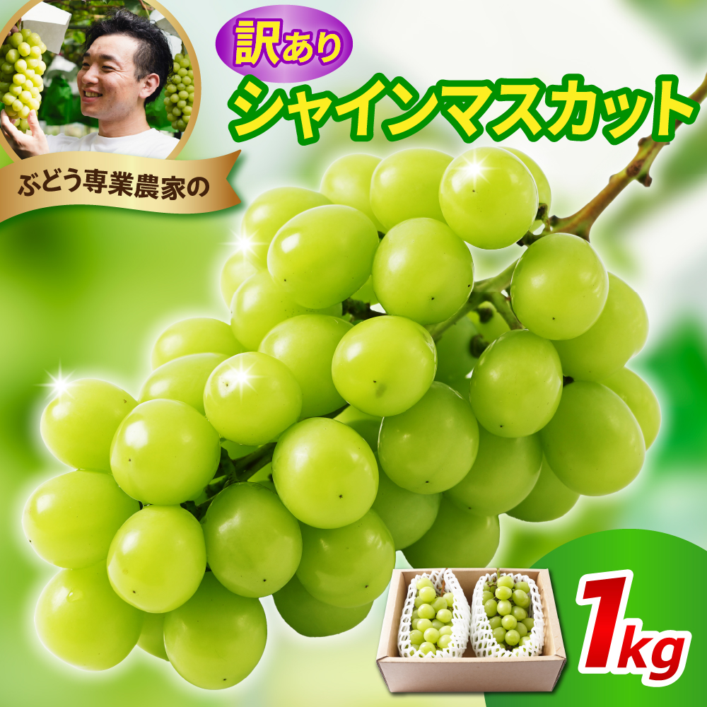 【先行予約】 令和8年産 訳あり シャインマスカット 1kg 2026年9月上旬頃～お届け予定