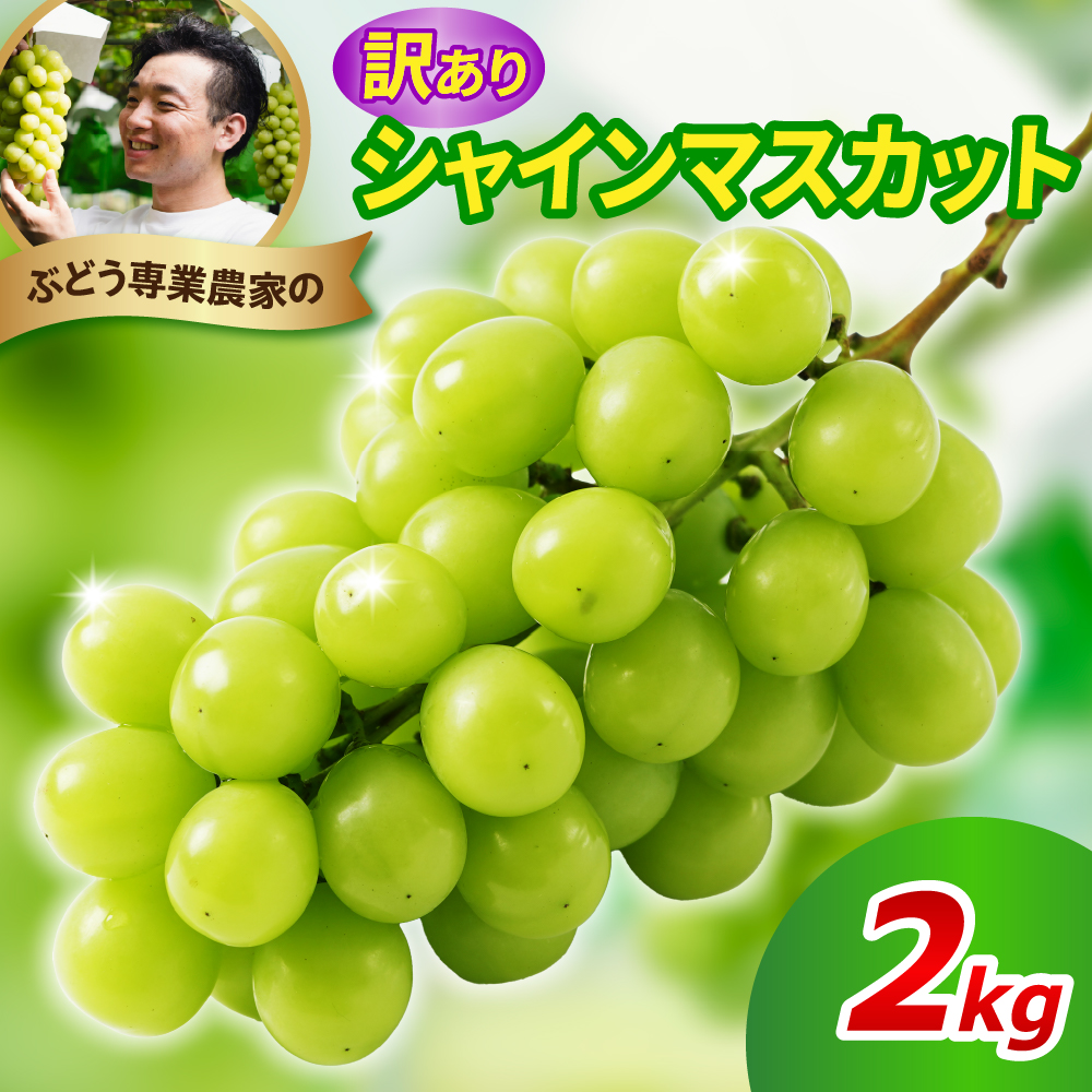 【先行予約】 令和8年産 訳あり シャインマスカット 2kg 2026年9月上旬頃～お届け予定