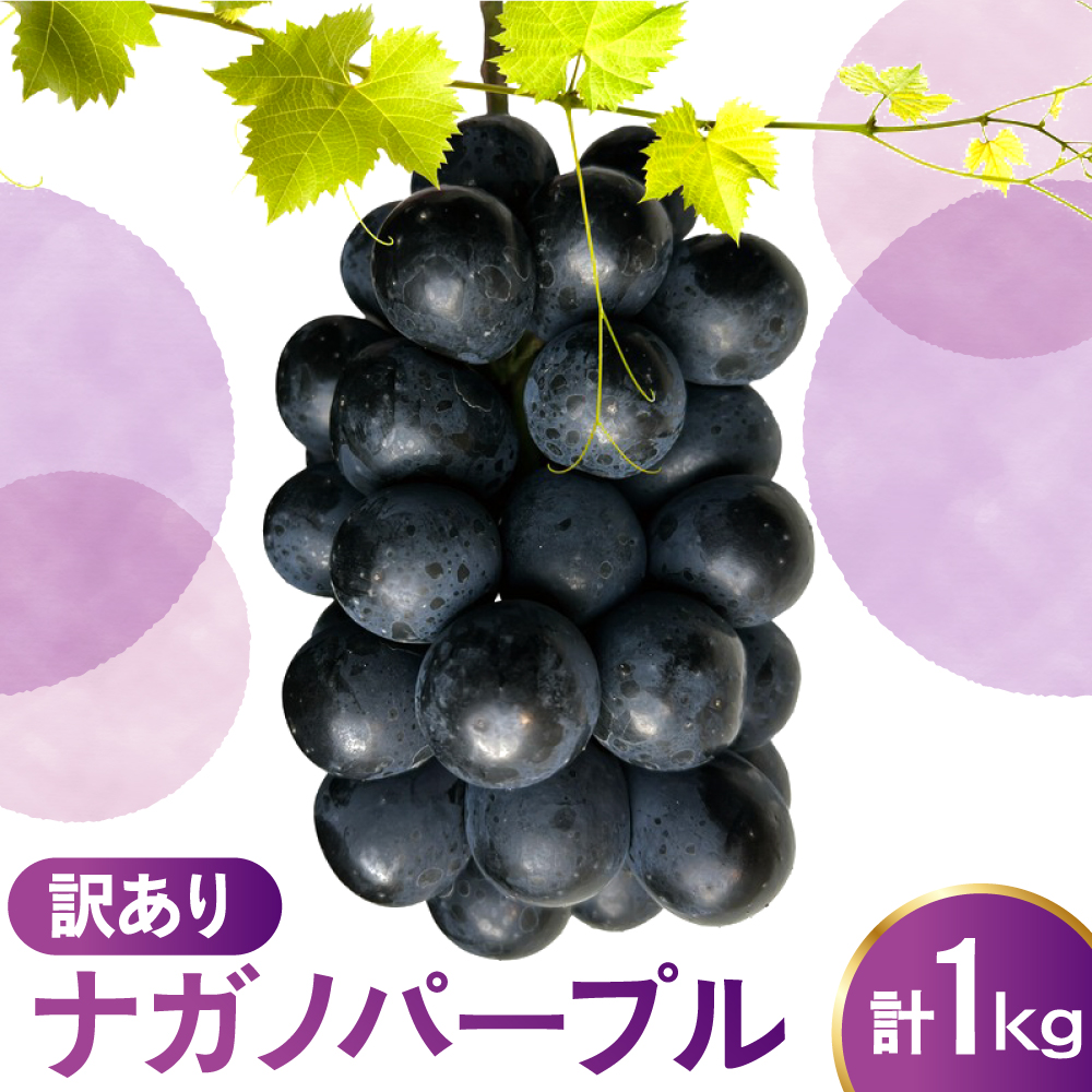 【先行予約】 令和8年産 訳あり ぶどう ナガノパープル 1kg 2026年9月上旬頃～お届け予定