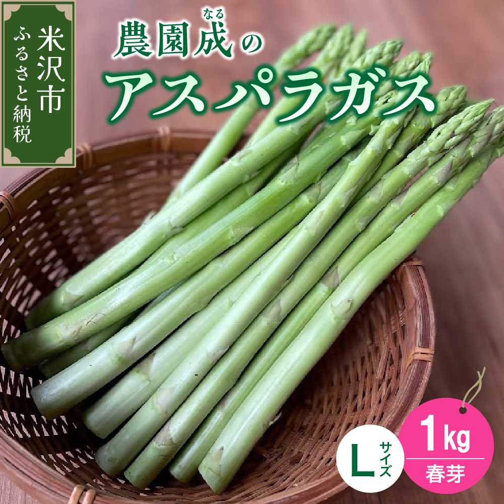 《 先行予約 》【 令和8年産 春芽 】 アスパラガス L 1kg （ 太物 L以上 ）〔 2026年5月中旬頃 ～ 発送予定 〕 アスパラ 野菜 農園成 産地直送 農家直送 2026年産