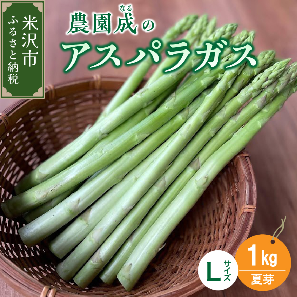 《 先行予約 》【 令和8年産 夏芽 】 アスパラガス L 1kg （ 太物 L以上 ）〔 2026年 7月中旬頃 ～ 発送予定 〕 アスパラ 野菜 農園成 産地直送 農家直送 2026年産