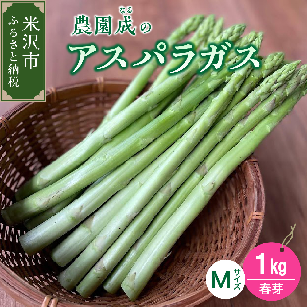 《 先行予約 》【 令和8年産 春芽 】 アスパラガス M 1kg （ 細物 M以下 ）〔 2026年 5月中旬頃 ～ 発送予定 〕 アスパラ 野菜 農園成 産地直送 農家直送 2026年産
