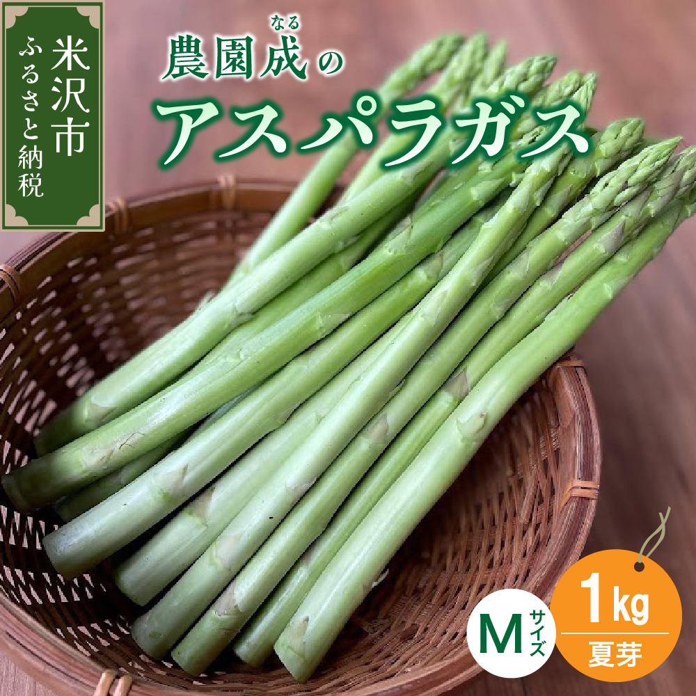 《 先行予約 》【 令和8年産 夏芽 】 アスパラガス M 1kg （ 細物 M以下 ）〔 2026年 7月中旬頃 ～ 発送予定 〕 アスパラ 野菜 農園成 産地直送 農家直送 2026年産