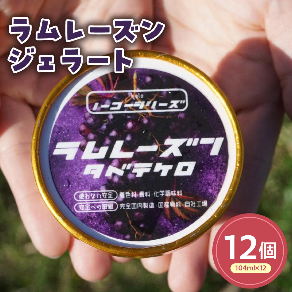 ラムレーズンジェラート(104ml)〔12個入り〕 レーズン アイス スイーツ 洋菓子 お菓子 デザート 贈答 贈り物 ギフト プレゼント お取り寄せ 送料無料 山形県 米沢市