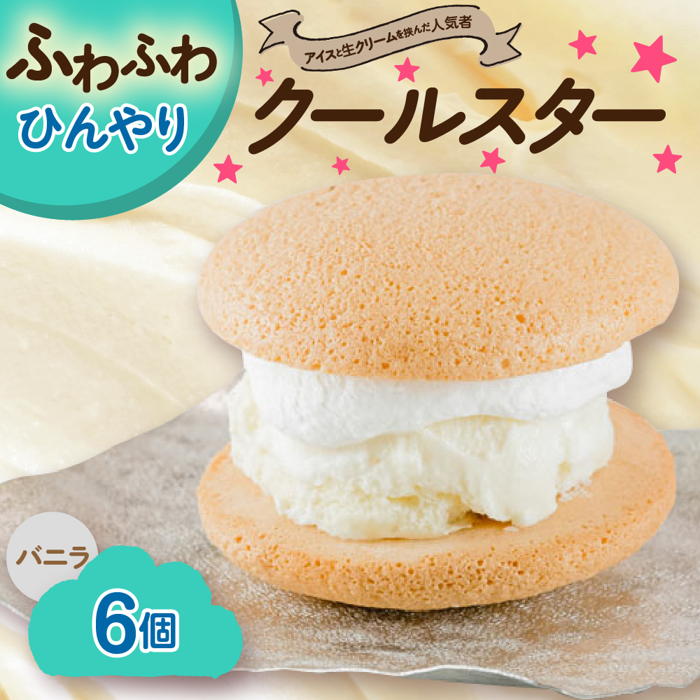 クールスター (ブッセケーキ) アイス クリーム ブッセ 6個入 スイーツ お菓子 洋菓子 おやつ 冷凍 山形県 米沢市