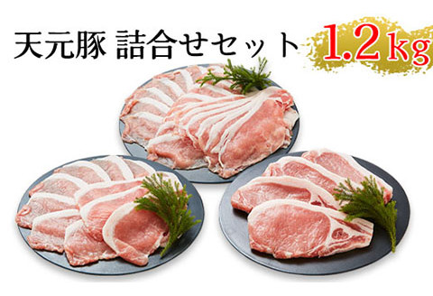 [安全・ヘルシーポーク]天元豚よくばり詰合せセット 計1.2kg しゃぶしゃぶ 焼肉 とんかつ 豚肉