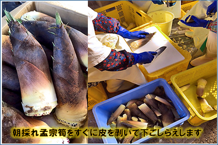 手軽に本場の美味しさが楽しめる【孟宗筍ごはんの素】4袋セット　A06-502　たけのこ　炊き込みご飯