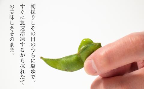 手軽に簡単おいしい本場の味！レンジｄｅだだちゃ豆800g(80g×10袋)