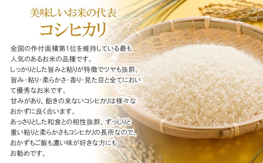コシヒカリ パックライス 山形県庄内産 180g × 24P