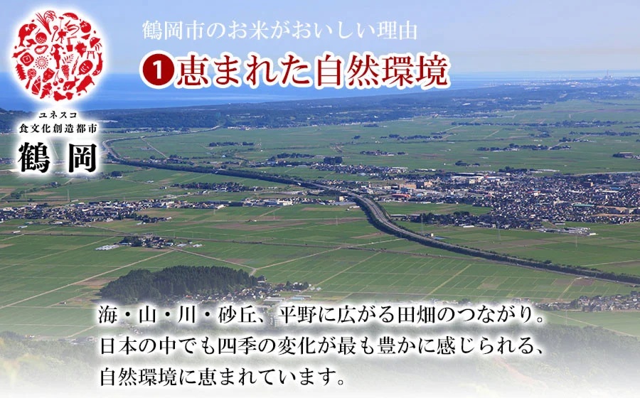 【令和7年産】はえぬき 精米 5kg 山形県 庄内産　米食味鑑定士お薦め