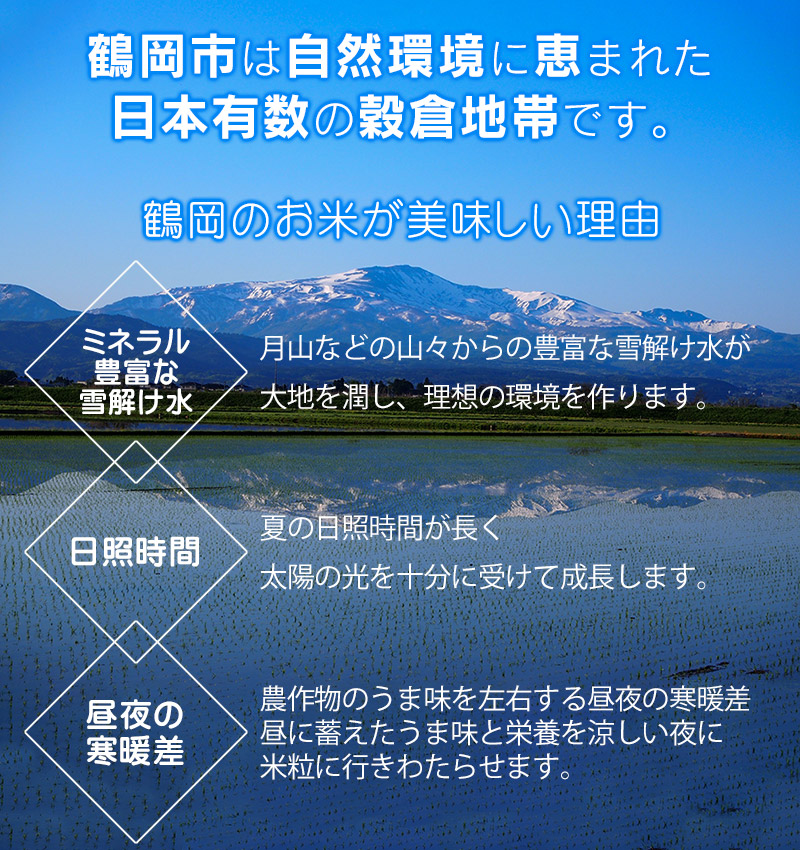 【令和7年産】【6ヶ月定期便】【新米】 つや姫 無洗米 5kg(5kg×1袋) ×6回　(計30kg)　山形県庄内産　有限会社 阿部ベイコク