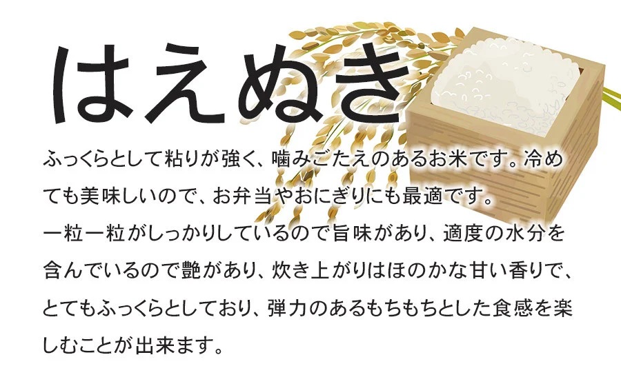 【令和7年産先行予約】 特別栽培米はえぬき 無洗米 7kg (5kg+2kg) 山形県鶴岡産　鶴岡協同ファーム