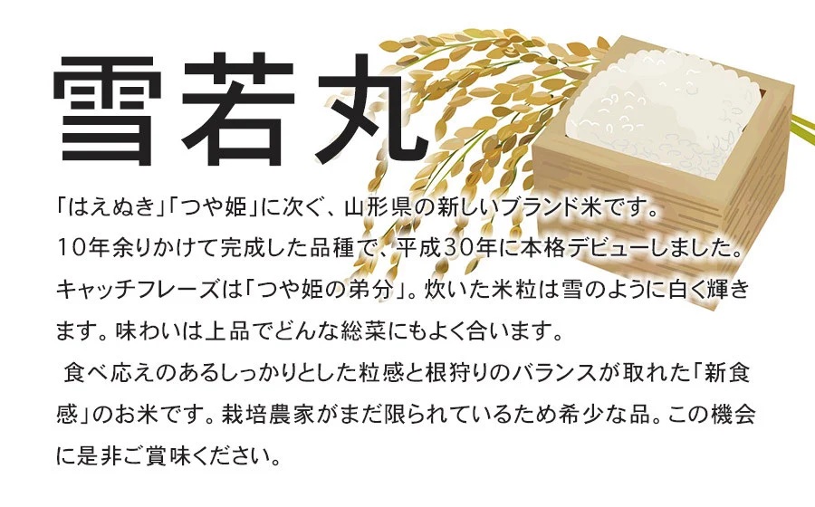 【令和7年産】【新米】 特別栽培米雪若丸　無洗米 5kg　(5kg×1袋)　山形県鶴岡産　鶴岡協同ファーム