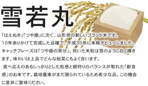 【令和8年産先行予約】 特別栽培米雪若丸　無洗米 10kg (5kg×2袋) ×12ヶ月【定期便】 山形県鶴岡産　鶴岡協同ファーム