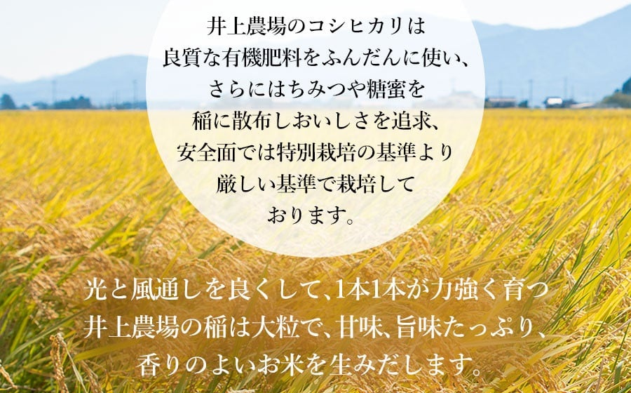【令和7年産】 井上農場の特別栽培米 コシヒカリ 無洗米 6kg（2kg×3袋）　K-750