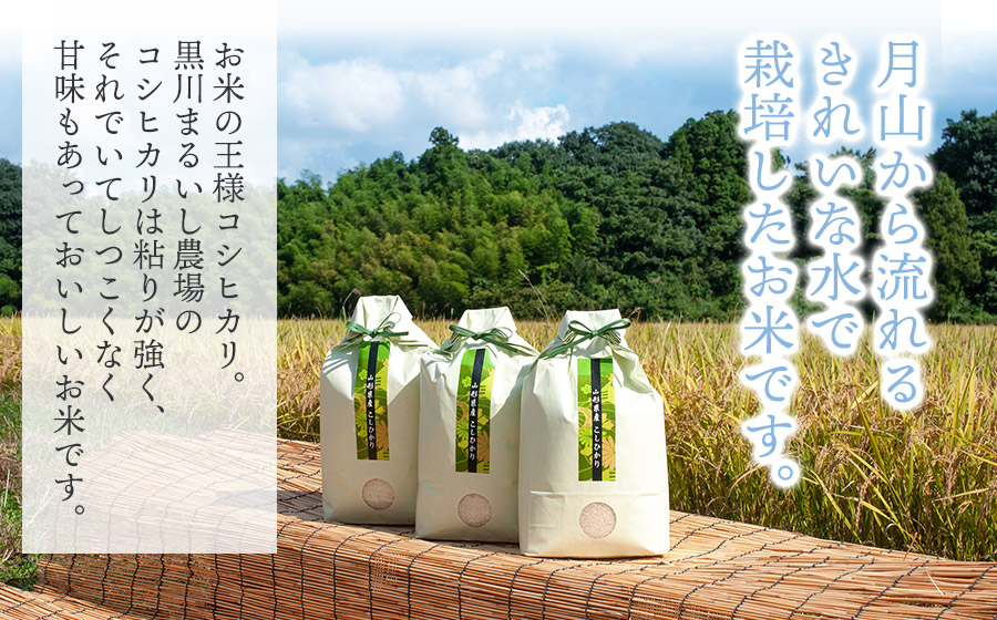 【令和7年産】【新米】 黒川まるいし農場の特別栽培米 コシヒカリ 2kg　山形県鶴岡市産　K-721
