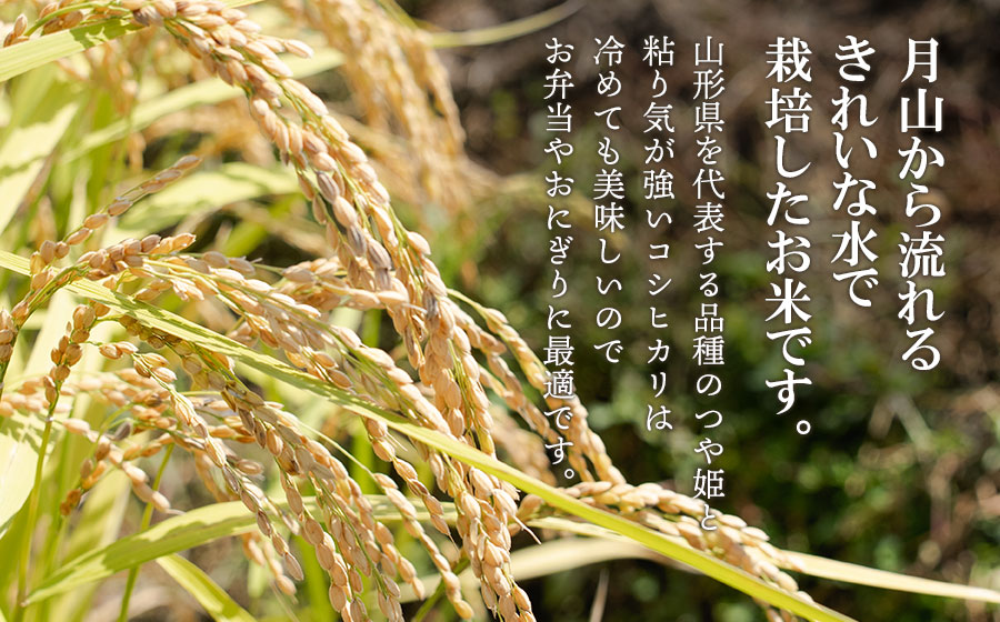 【令和7年産】【新米】 黒川まるいし農場の特別栽培米つや姫 5kg・コシヒカリ 5kg (計10kg) 山形県鶴岡市産　K-787