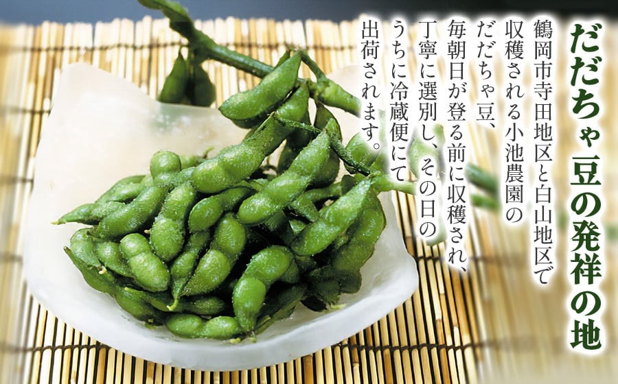 【令和8年産先行予約】【鶴岡の夏の旬を伝える】 小池農園のだだちゃ豆 【甘露】 1.8Kg（600g×3袋）K-832