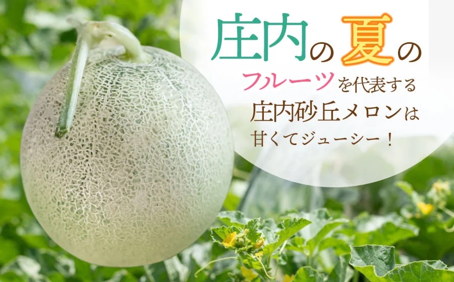 【令和8年産先行予約】産地直送！庄内砂丘アンデスメロン 約5kg (3～5玉)　佐藤農園　K-835