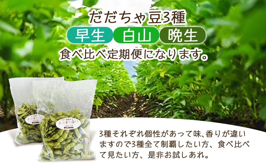 【定期便】【令和8年産先行予約】朝採りだだちゃ豆 食べ比べ 1.5kg (500g×3袋)×3回 お届け 早生・白山・晩生 枝豆　小池半左衛門