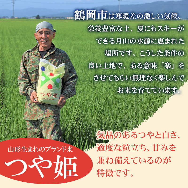 【令和7年産】 山形県庄内産 工藤さんの特別栽培米 つや姫 無洗米 5kg（5kg×1袋） 山形県鶴岡市 株式会社サンエイファーム　| 米 お米 コメ こめ つやひめ 5キロ ご飯 ごはん ブランド米 国産 美味しい おいしい 返礼品