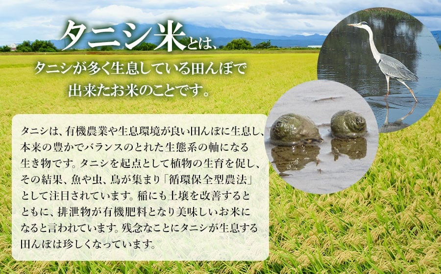 【令和7年産】特別栽培米 はえぬき（タニシ米）精米10kg（5kg×2袋）　山形県鶴岡産　アベ・アグリ米