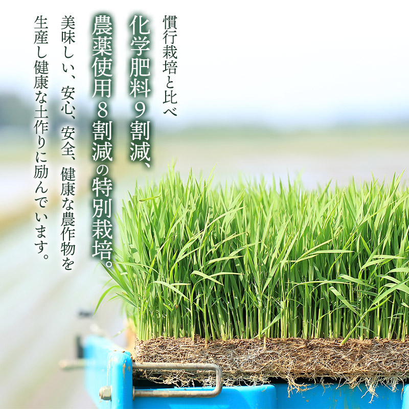 【令和7年産】【新米】特別栽培米 つや姫 【玄米】 1kg　山形県鶴岡市産　出羽弥兵衛