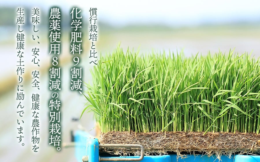 【令和7年産】特別栽培米 つや姫 【玄米】 1kg　山形県鶴岡市産　出羽弥兵衛