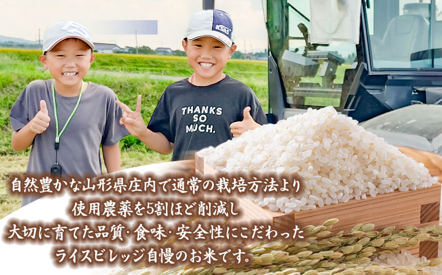 【令和7年産】米どころ庄内産 ライスビレッジの特別栽培米 つや姫 無洗米　10kg　K-790