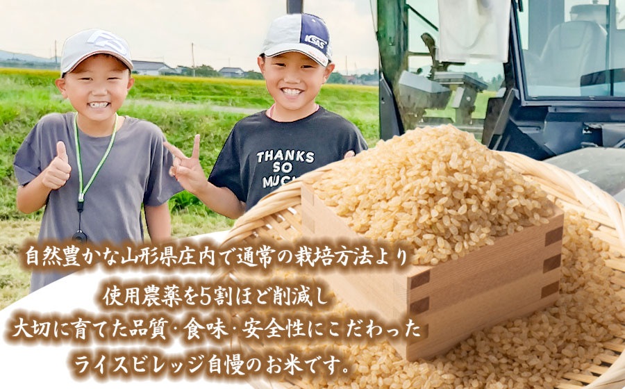 【令和7年産】米どころ庄内産 ライスビレッジの雪若丸 玄米10kg　K-781